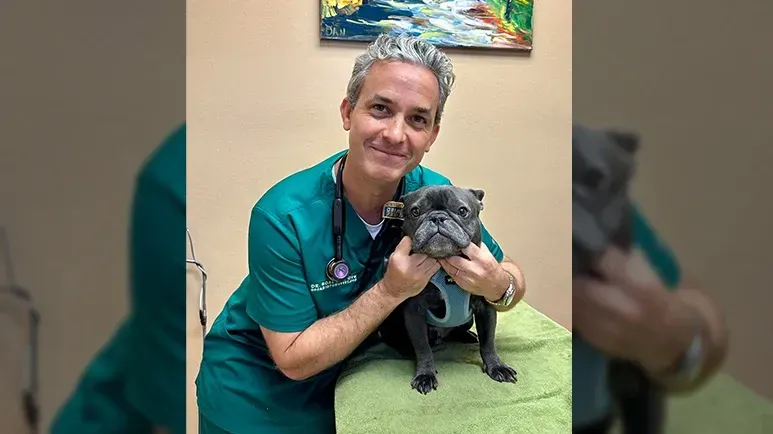 Groundbreaking Surgery Improves the Lives of Flat-Faced Dogs